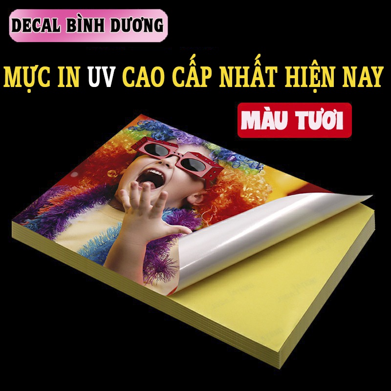 LOGO DECAL STICKER TẤM DÁN CHỮ TẬP LÁI, MỚI LÁI XE, XE TẬP LÁI ĐANG LƯU THÔNG