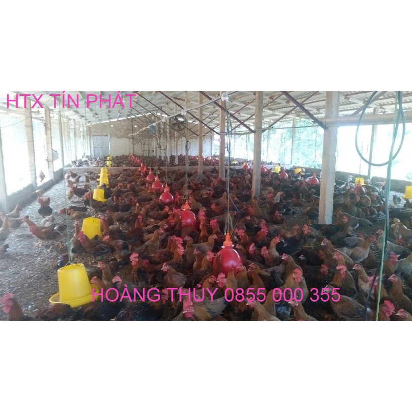 MÁNG NƯỚC TỰ ĐỘNG CHO GÀ VỊT ... HÀNG THÁI LAN