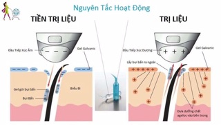 Gel mặt nuskin