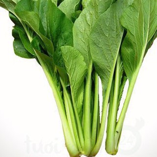 10gr hạt giống cải ngọt