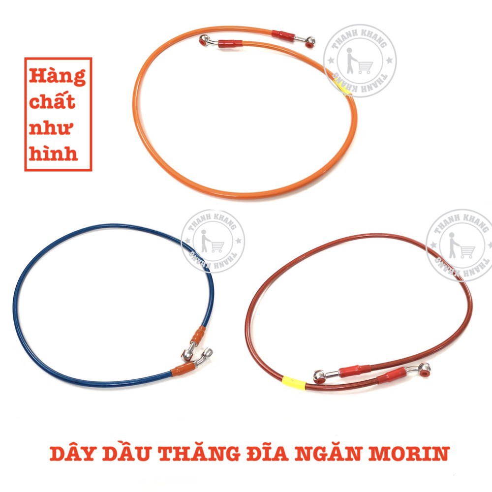 dây dầu thắng đĩa màu morin thanh khang