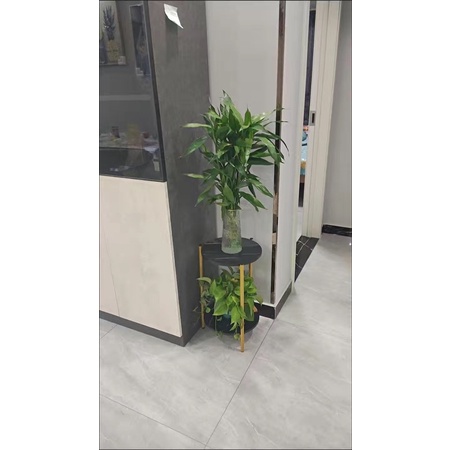 Kệ để chậu hoa cây cảnh ban công,phòng khách B174