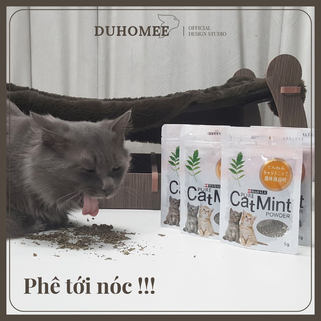 Cỏ bạc hà catnip cho mèo phê pha | Catnip | Duhomee