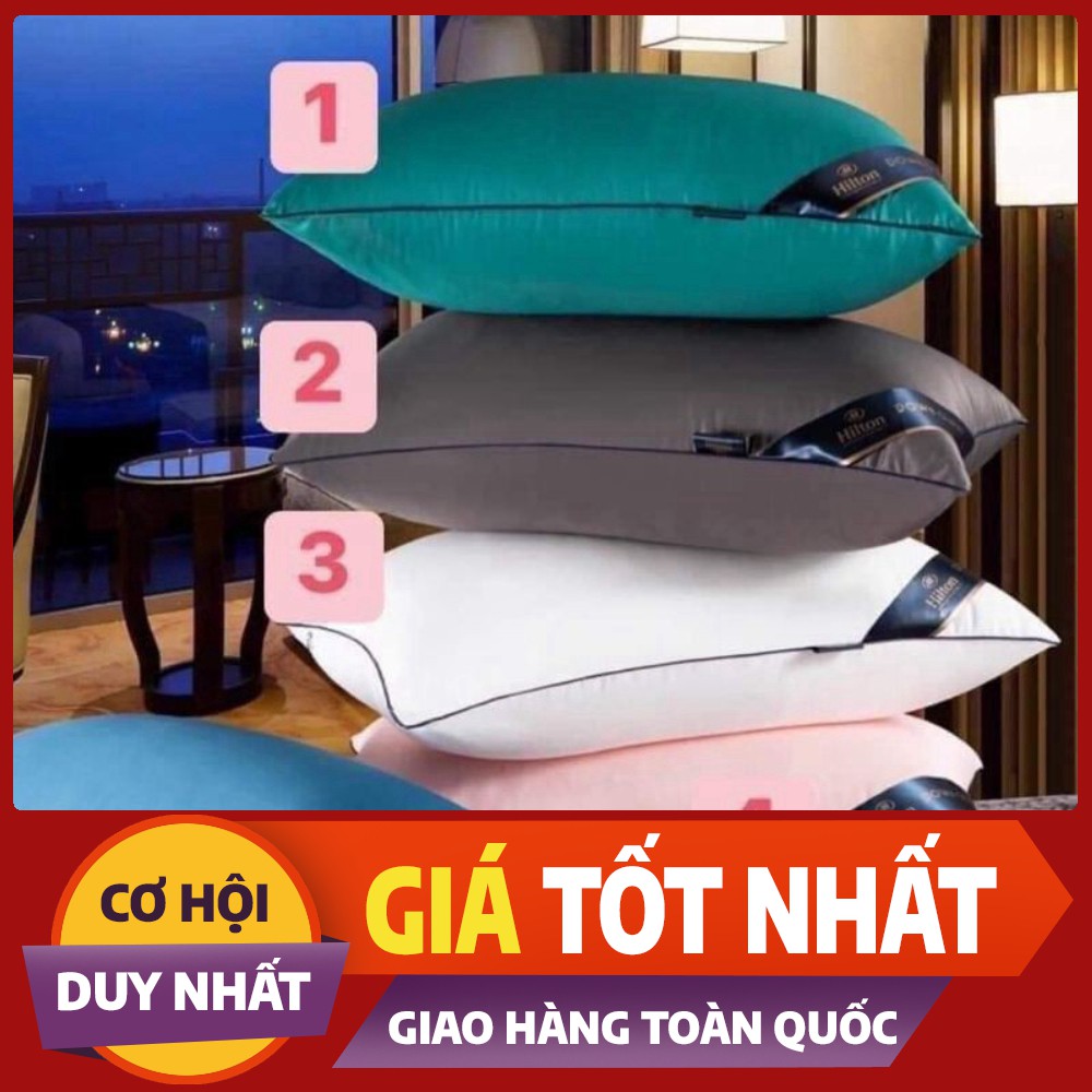 Ruột gối đầu cao cấp Hinton ép hơi, có khóa kéo- Nhiều màu tiêu chuẩn 5*- kích thước 45x65