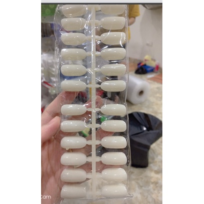 Móng dọc tập sơn trang trí nail màu đục trong