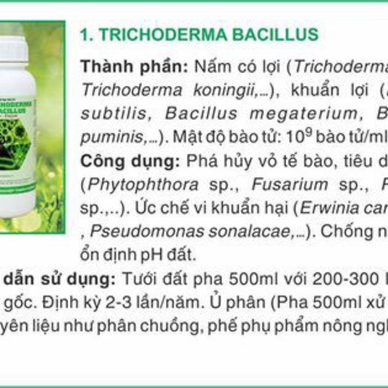 CHẾ PHẨM SINH HỌC TRICHODERMAR BACILLUS HLC  500ml
