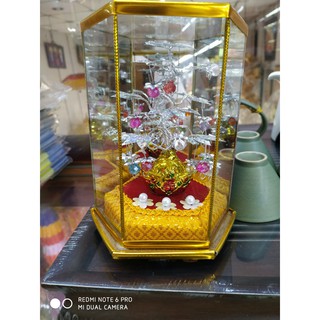 Cây Như Ý Phong Thủy May Mắn