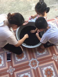 1Kg đỗ đen xanh lòng quê hạt nhỏ