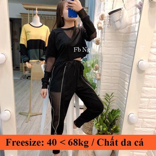 Set áo croptop và quần jogger phối lưới