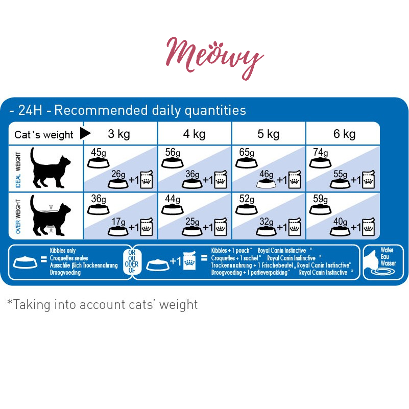 [2KG] hạt Royal Canin Indoor dành cho mèo trưởng thành