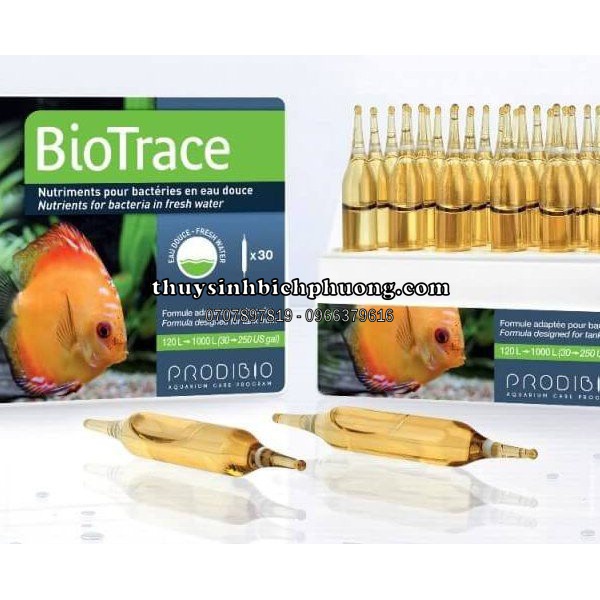 1 ỐNG VI SINH PRODIBIO BIOTRACE - DƯỠNG CHẤT VI LƯỢNG BỔ TRỢ CHUYÊN CHO CÁ TÉP HỒ THỦY SINH