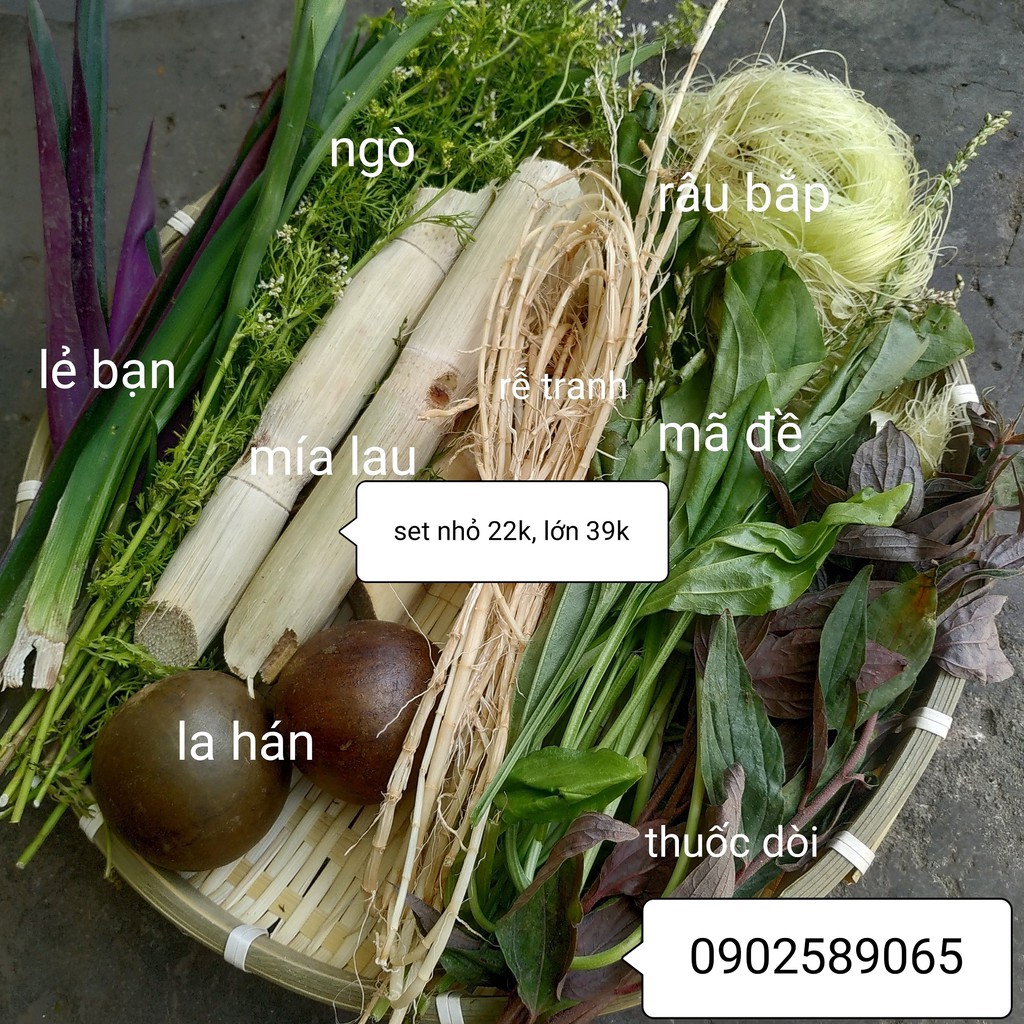 [Mã 77FMCGSALE1 giảm 10% đơn 250K] Sâm thảo mộc - set nguyên liệu tươi nấu 5 lít nước sâm - giao hoả tốc | BigBuy360 - bigbuy360.vn