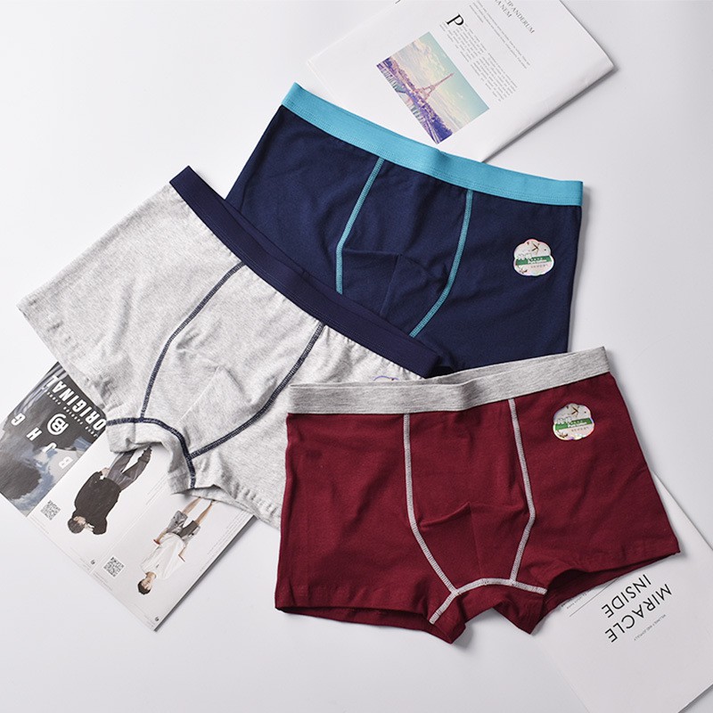 Quần lót nam boxer sịp đùi nam NuciFera X7 cotton cao cấp chất dày mát co dãn