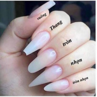 Nailbox thiết kế mã 139