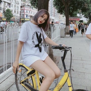 Áo phông trắng gấu - ảnh thật bao chất