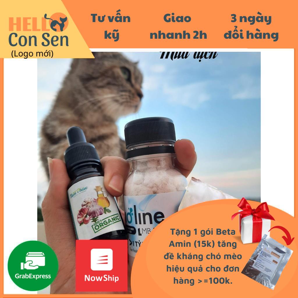 Chăm sóc sức khỏe chó mèo mùa đông vitamin cho chó mèo tăng đề kháng (combo tinh dầu tỏi,men vi sinh 40g,beta amin 5g)