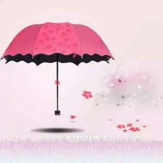 Ô dù gấp gọn Gặp nước nở hoa