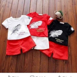 Combo 20 bộ đồ hè cho bé yêu