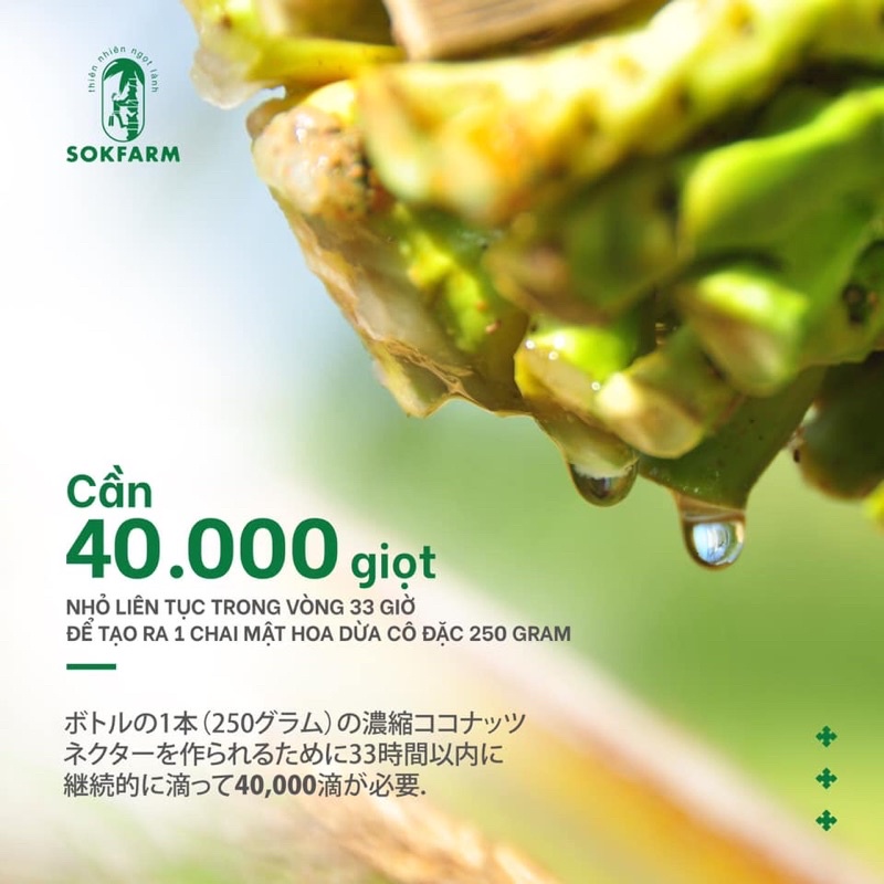 Mật hoa dừa Sokfarm Trà Vinh - Chai 250g và 65g- Sản phẩm thuần chay, có chỉ số đường huyết thấp, tăng sức đề kháng