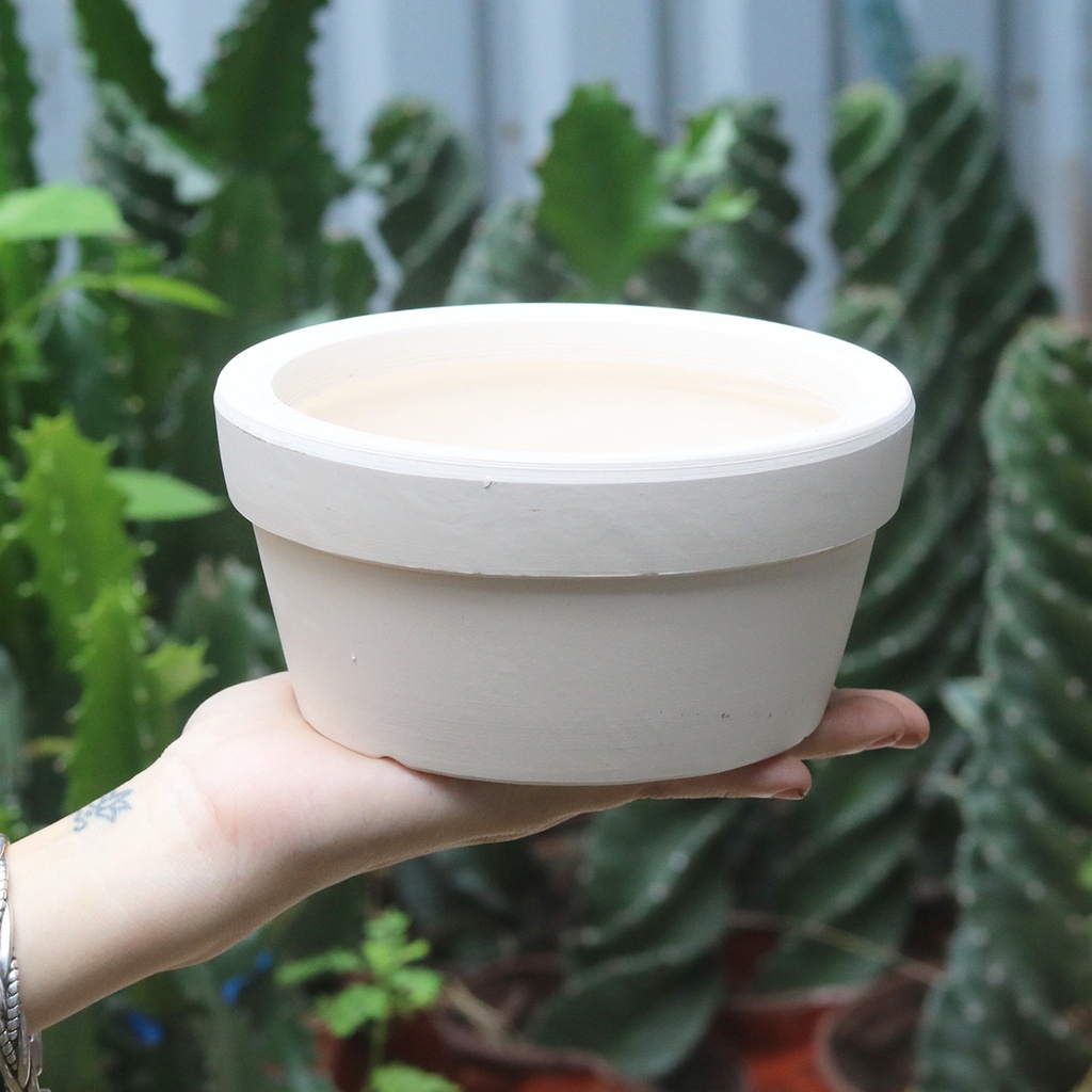 Chậu đất nung đỏ và trắng thấp tròn dẹt 3 kích thước