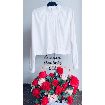 Áo vin dáng croptop