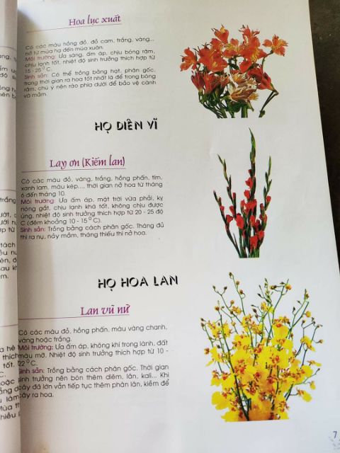 Tài liệu dạy cắm hoa tại nhà