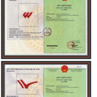 GIÀY ĐÁ BÓNG TRẺ EM CHÍNH HÃNG PROWIN VIỆT NAM-LOS ANGELES