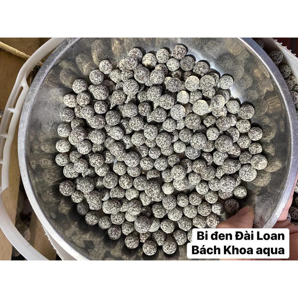 Bi đen Đài Loan 100k/kg