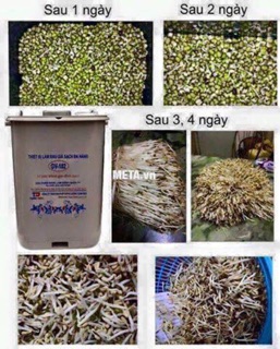 Máy làm giá sạch 