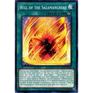 Thẻ bài Yugioh - TCG - Will of the Salamangreat / SOFU-EN053'