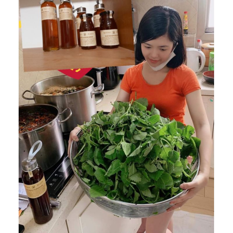 (MUA 1 + TẶNG 1 PHẦN QUÀ) Siro ho Thiên Tri ho, mũi - 500ml chai thủy tinh.Kiểm định bởi Sở Y Tế Hà Nội