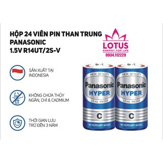2 viên Pin Trung ( Size C) Panasonic 1,5V - Hàng Chính Hãng