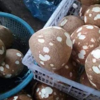 Dầu dừa nguyên chất