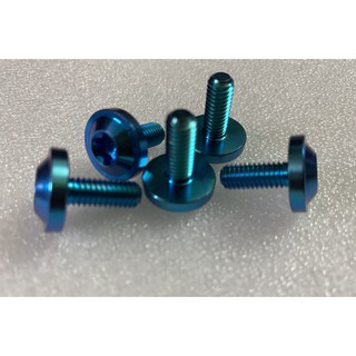 Ốc Titan GR5  DÙ TO DÀY bắt ốp pô , Cần ter ,dè , áo ...