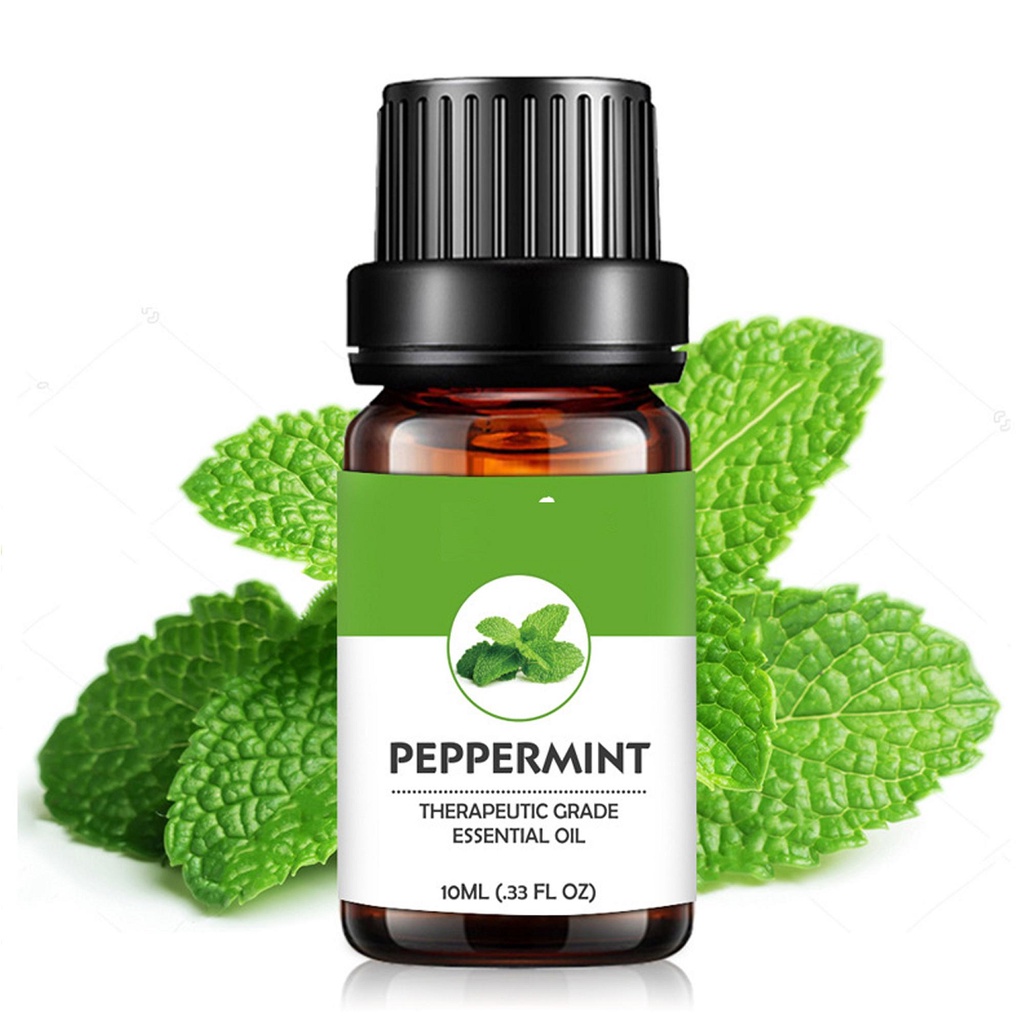 Tinh dầu Bạc Hà Peppermint Essential Oil Trường An ,xuất sứ thiên nhiên không pha tạp chất, có giấy kiểm định COA