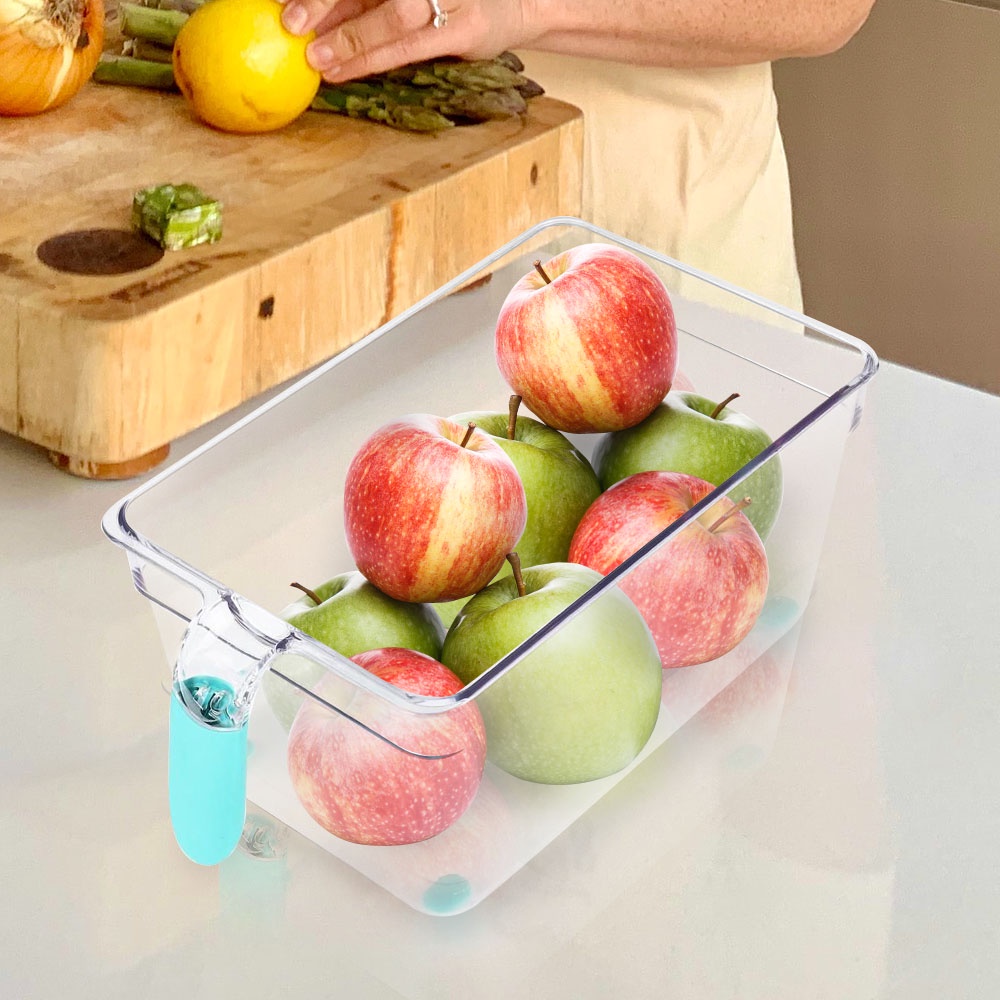 HomeBase KECH Hộp bảo quản tủ lạnh bằng nhựa có tay cầm W27.5xD15.5xH12cm