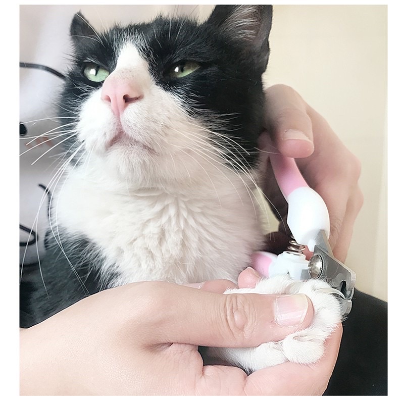 Bộ kìm dũa bấm móng thú cưng cho chó mèo