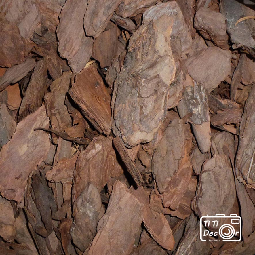 Vỏ Thông Khô TiTi Decor Chụp Ảnh Sản Phẩm Phong Cách Mộc, Vintage Cổ Điển