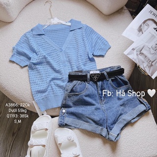 Áo lưới cổ V 4 màu cho nữ