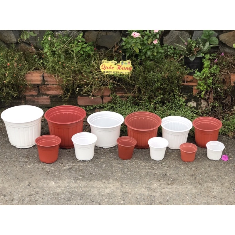 Chậu nhựa Nâu N18 trồng sen đá,xương rồng thương hiệu Quốc Hùng
