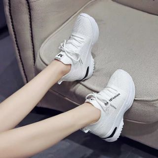 Giày thể thao độn đế 8cm