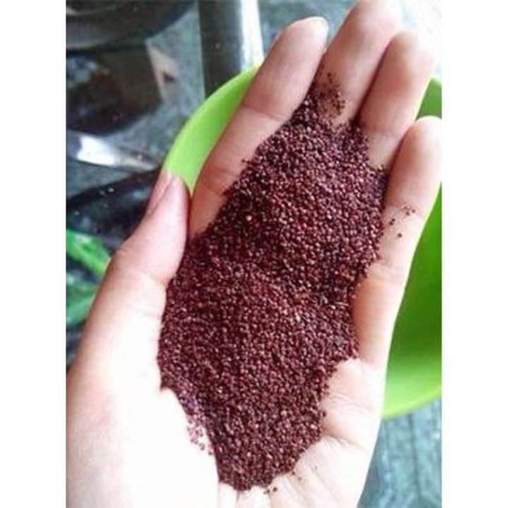Hạt Rong biển 1 Ký nguyên chất thiên nhiên 100% có giấy ĐKKD và VSATTP Ling