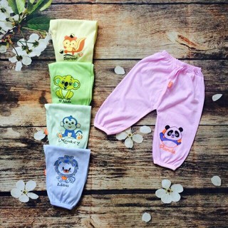 Quần dài chục cotton cho bé