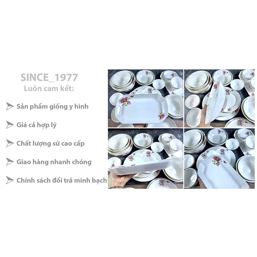 Đĩa 12 Sứ Cao Cấp Châu Au Sang Trọng 868, SINCE_1977