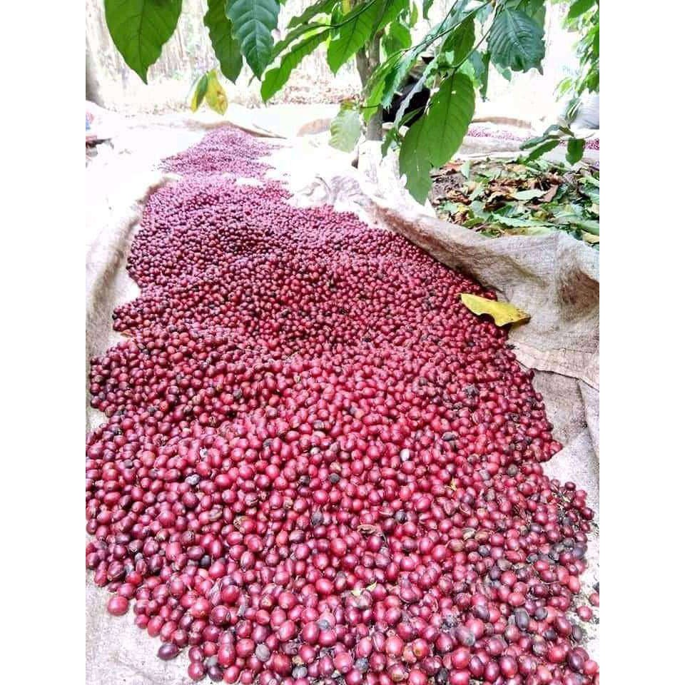 Cà Phê Mộc VQ -Gu Đam Mê-phối trộn hạt coffee Arabica-Robusta hảo hạng