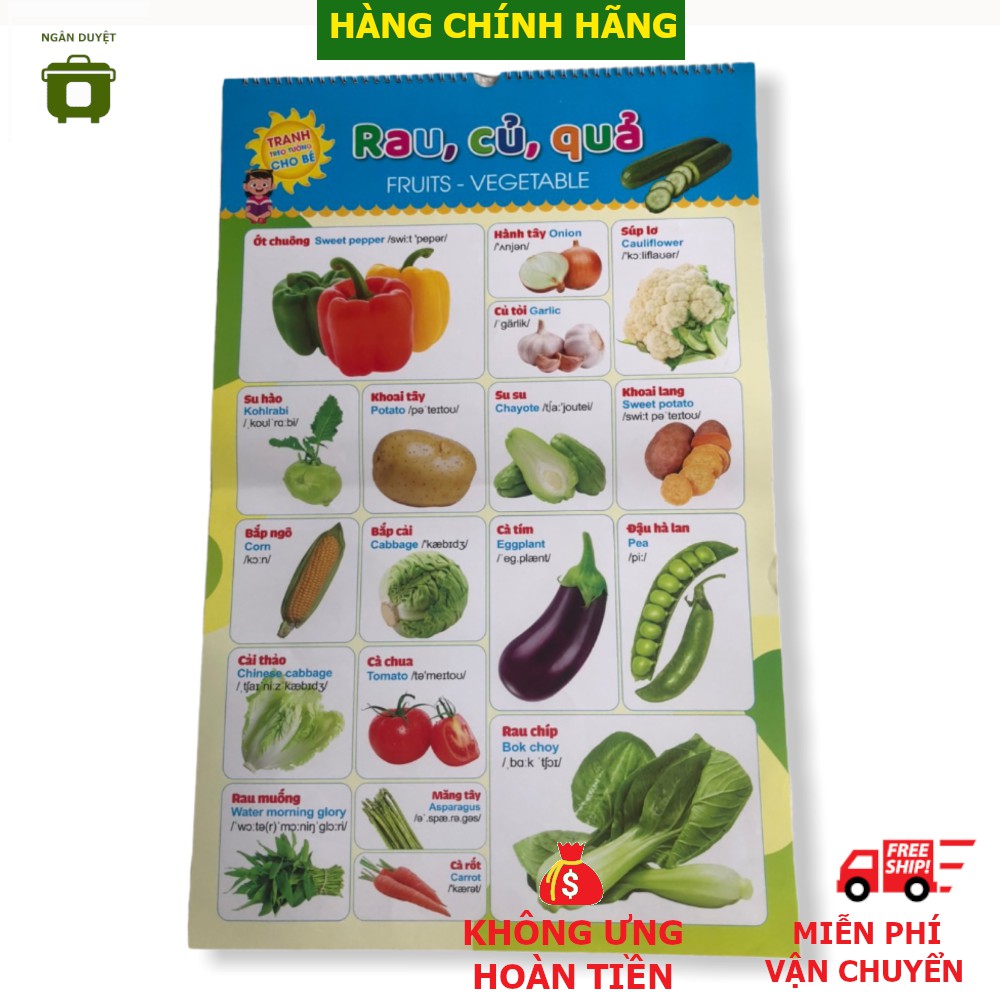 Tranh Treo Tường Cho Bé In Màu 12 Chủ Đề Học Song Ngữ Việt - Anh - Giầy dày, In bóng, bền, chính hãng NXB Hà Nội