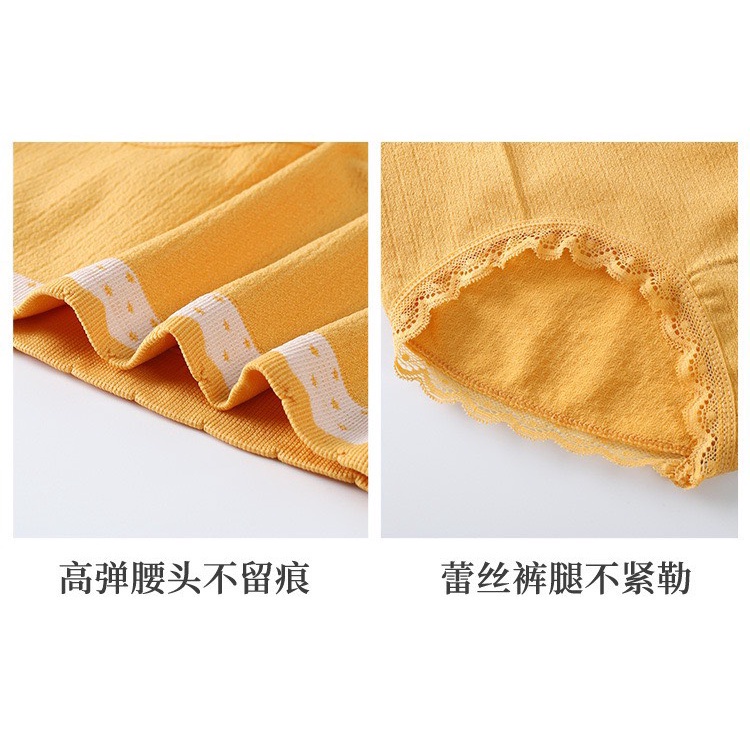Quần Lót Nữ - Quần lót Nữ cotton dệt kim kháng khuẩn thiết kế phối cạp chấm bi DAN STORE MÃ 3800