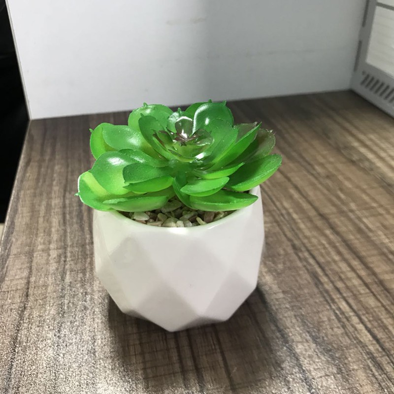 Cây Sen Đá giả mini mọng nước tặng kèm chậu Ceramic trắng có sỏi (mẫu 2)