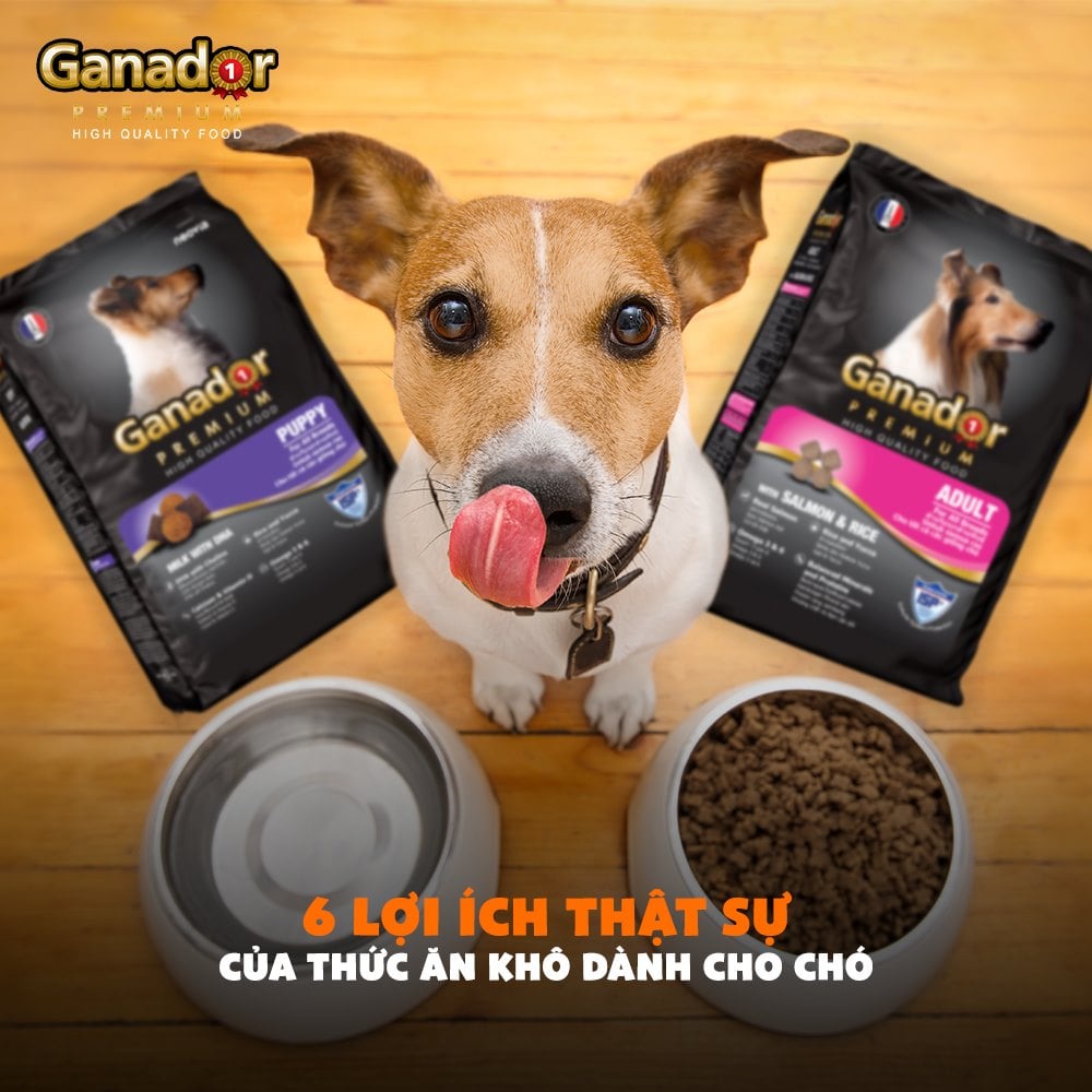 Hạt Ganador Premium 400gr cho chó con và chó trưởng thành - vị Cừu &amp; Cơm - vị Cá Hồi &amp; Cơm