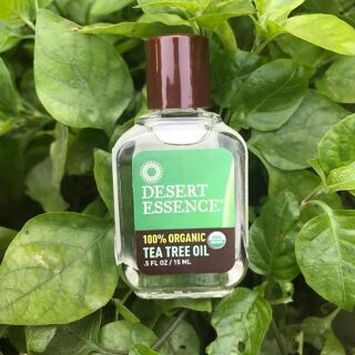 Tinh dầu tràm trà Desert essence tea tree oil